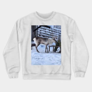 Lapland Crewneck Sweatshirt